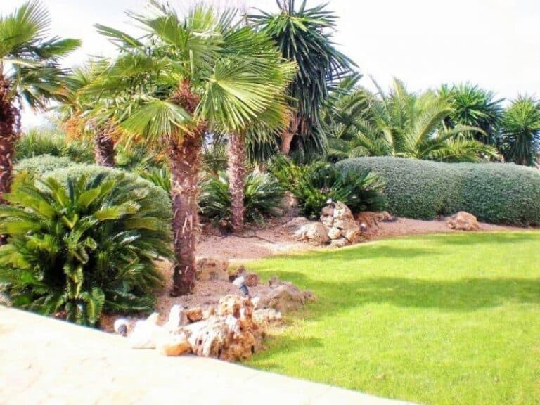  Balearic Islands