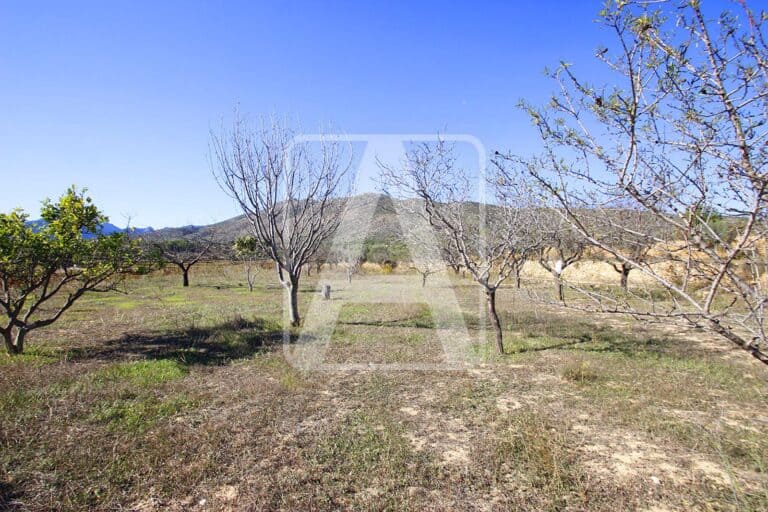 Plot for Sale in Benissa