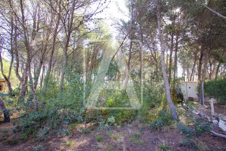 Plot for Sale in Benissa