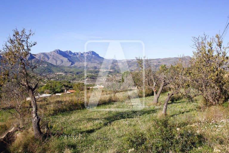 Plot for Sale in Benissa