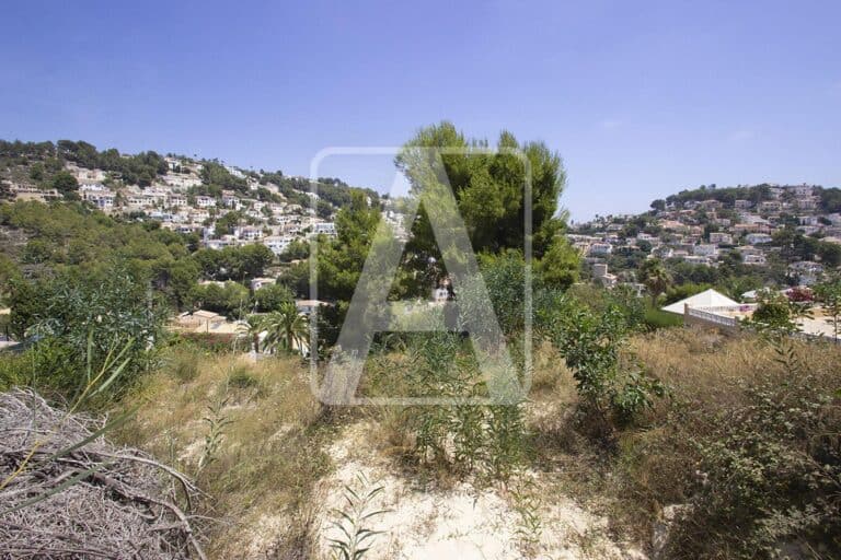  Alicante