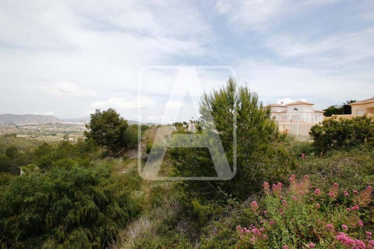  Alicante