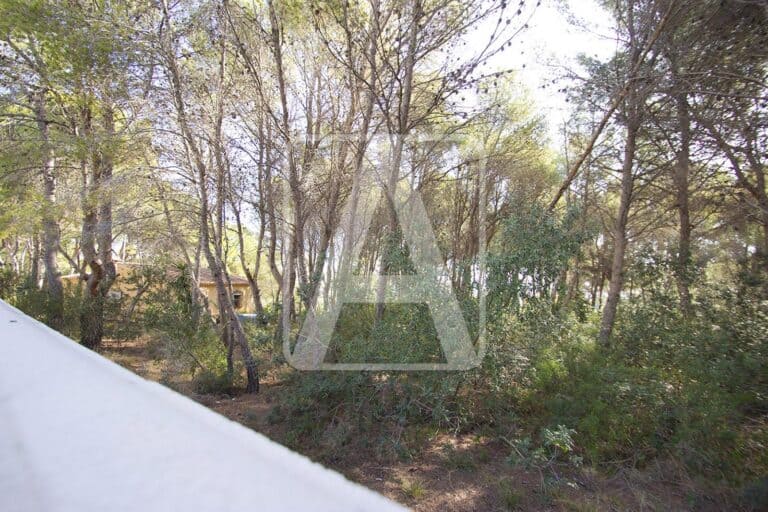  Alicante