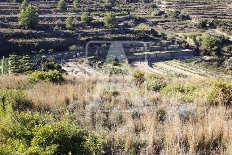  Alicante