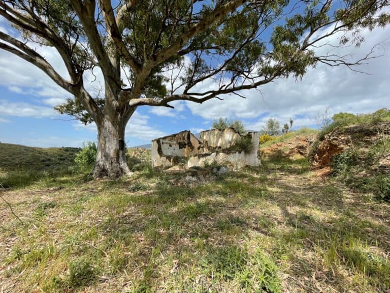 Plot for Sale in Mijas Malaga