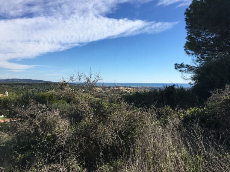 Plot for Sale in Sotogrande Cadiz