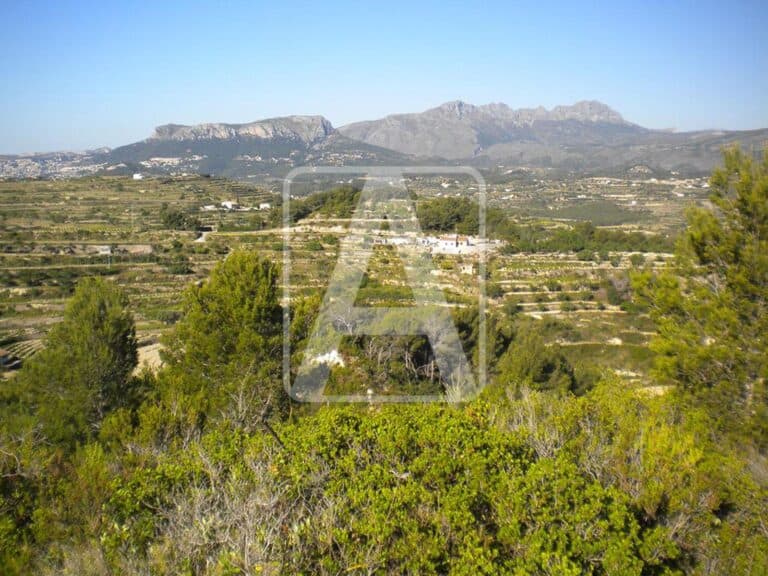  Alicante
