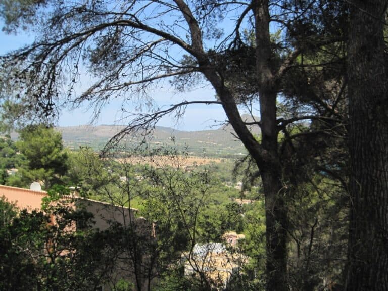 Balearic Islands