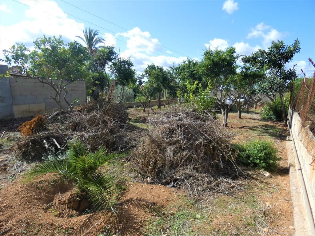 Plot for Sale in Manacor