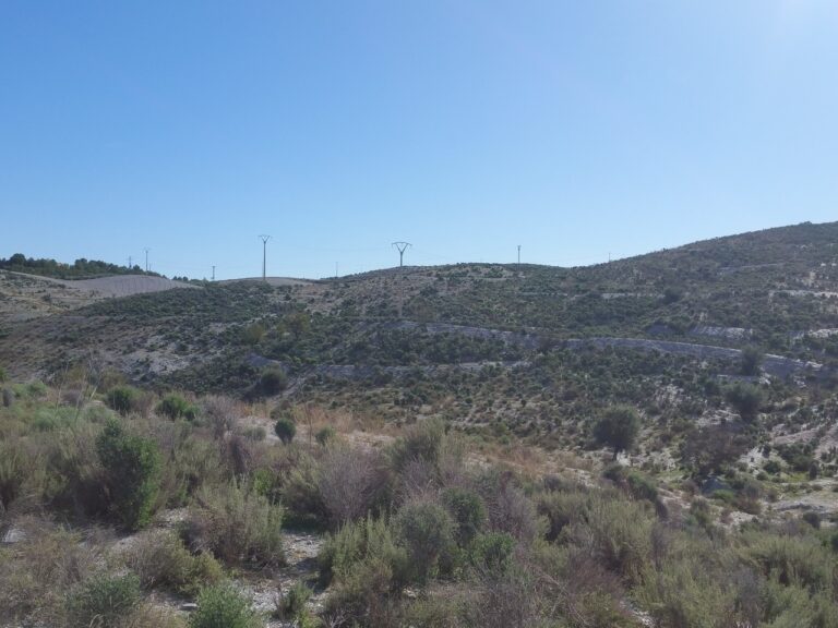  Murcia