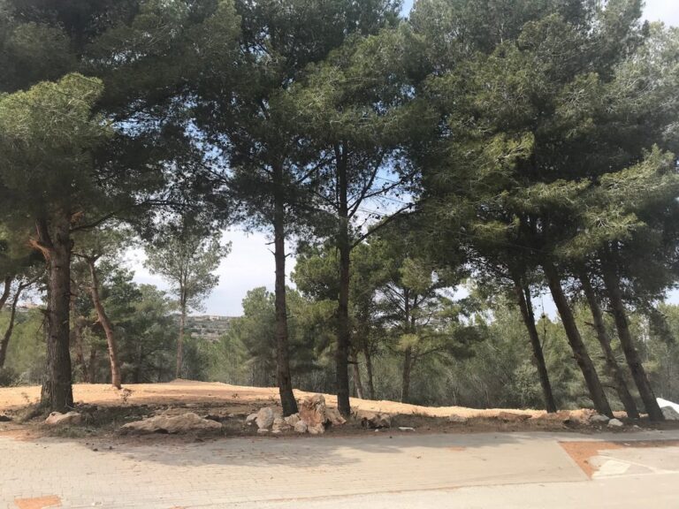 Flat plot for sale in Moraira